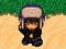 EsFlowerPal's Avatar