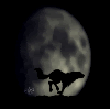 Kuujoe's Avatar