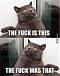 Catburger101's Avatar